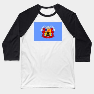 Flag of Luhansk Ukraine Baseball T-Shirt